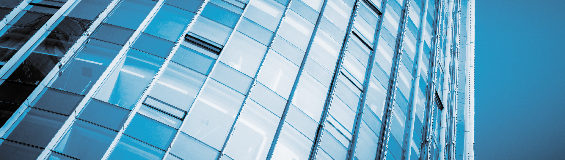 СНТ и перечень обязательных товаров – новые правила с 1 января 2026 года 